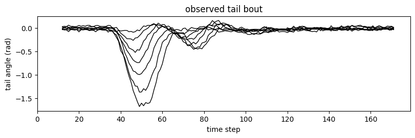../_images/examples_zebrafish_tail_reconstruction_3_1.png