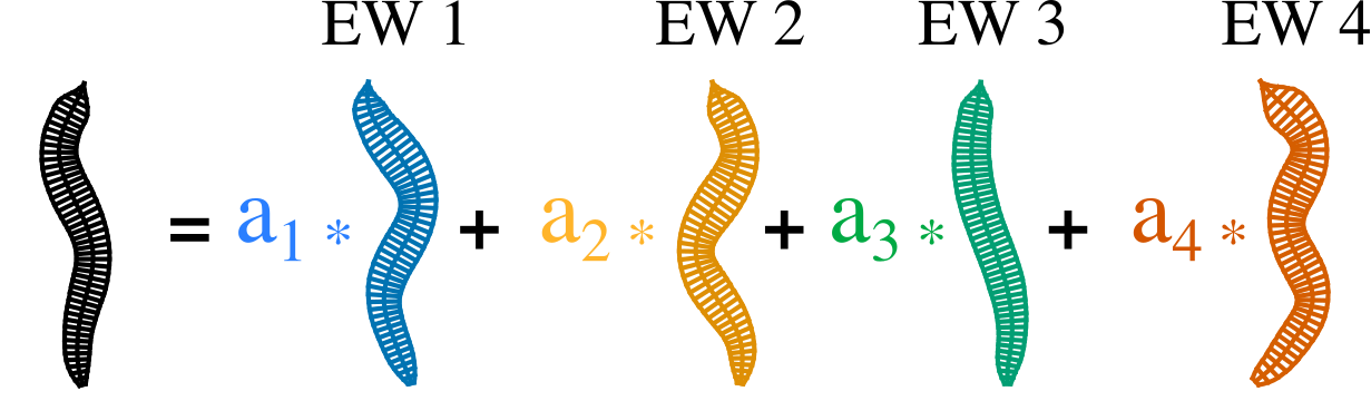 EigenWorms